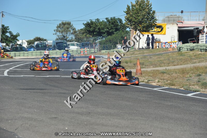DSC (2650).JPG